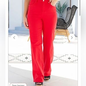 Judy Blue Caught You By Surprise Red Straight Leg High Waisted Jeans